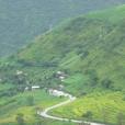 四公里村 四公里村