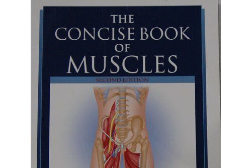 concise book muscles, the concise book muscles, the