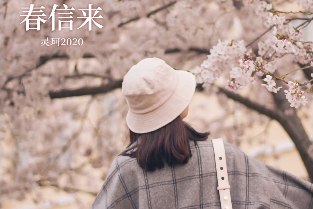 春信來 春信來