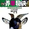 養羊秘訣 養羊秘訣