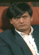 新紮師兄續集(新紮師兄（1985年梁朝偉主演TVB電視劇）)