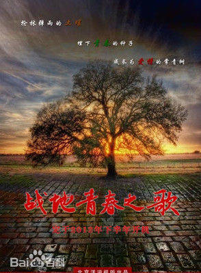 陸瑩(中國內地女演員) 陸瑩(中國內地女演員)