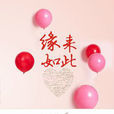 緣來如此(小說) 緣來如此(小說)