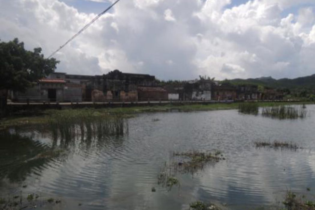 大嶺里(廣東省江門市開平市赤坎鎮永堅村下轄自然村) 大嶺里(廣東省江門市開平市赤坎鎮永堅村下轄自然村)