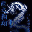龍之翱翔 龍之翱翔