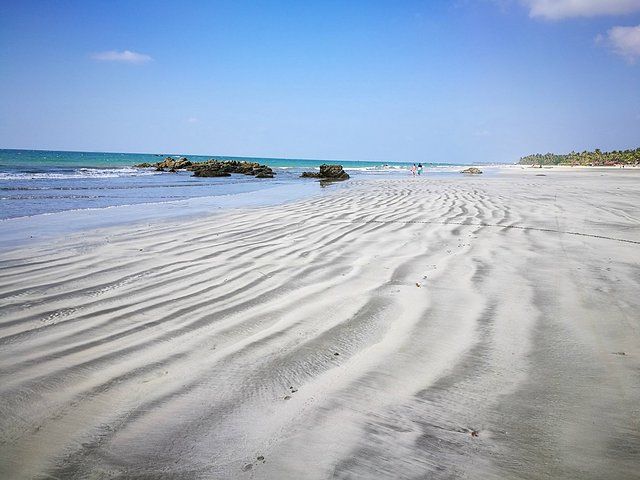沿岸沙灘 沿岸沙灘