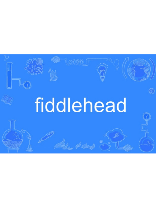 fiddlehead fiddlehead
