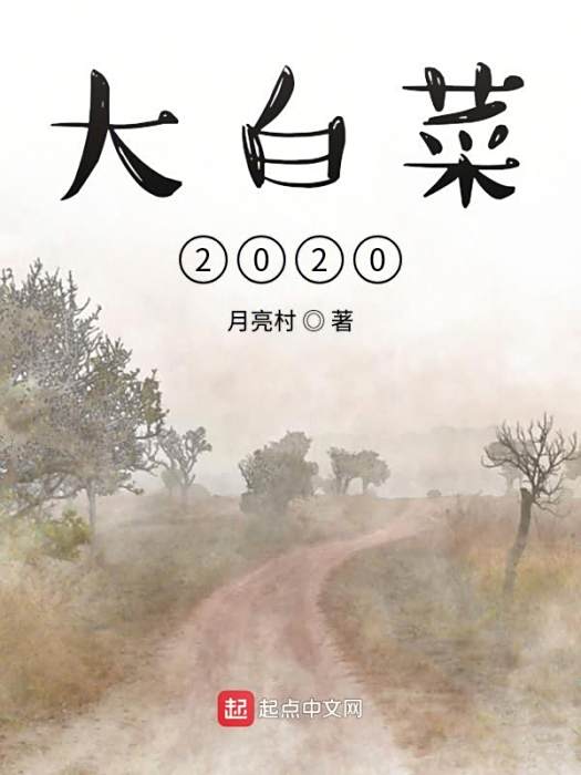 大白菜2020 大白菜2020