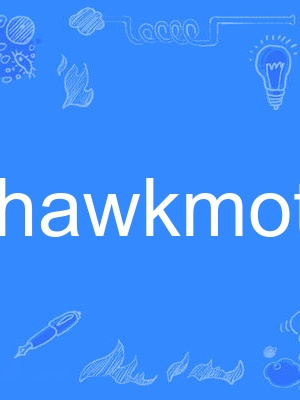 hawkmoth hawkmoth