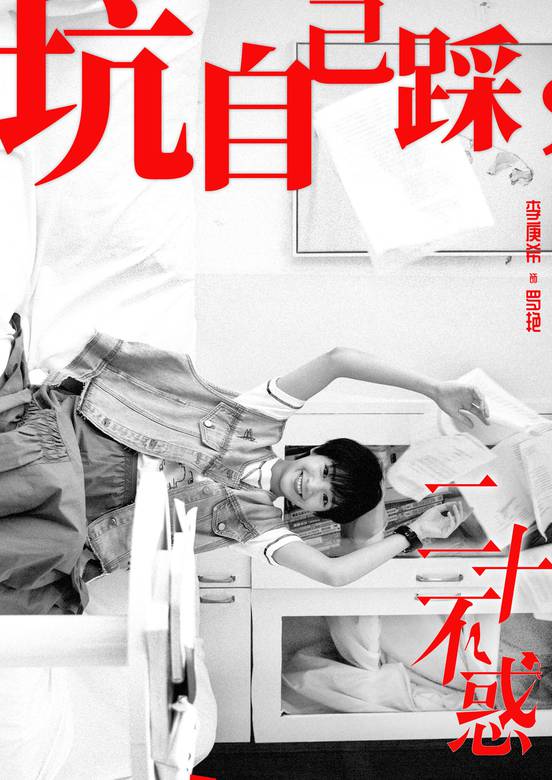 二十不惑(2019年黎志執導電視劇)
