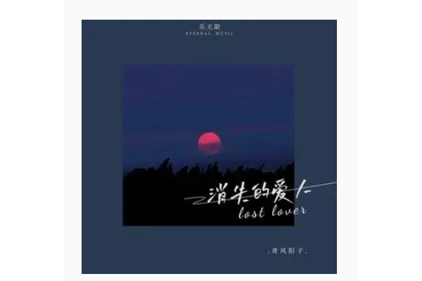 消失的愛人(青風陽子演唱的歌曲) 消失的愛人(青風陽子演唱的歌曲)