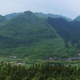 四門岩林場 四門岩林場