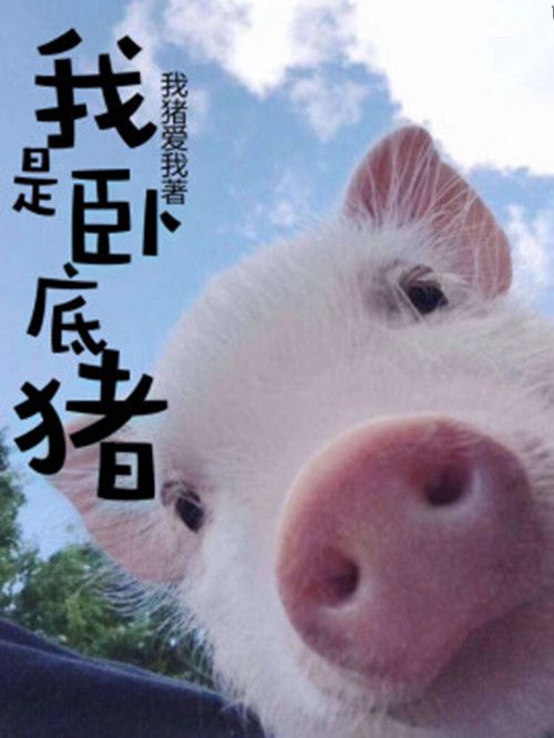 我是臥底豬 我是臥底豬