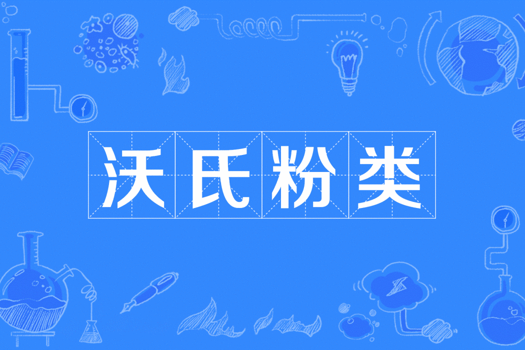 沃氏粉類 沃氏粉類
