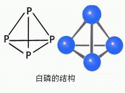 白磷的結構