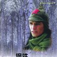 鋼鐵是怎樣煉成的(1999年韓剛執導電視劇) 鋼鐵是怎樣煉成的(1999年韓剛執導電視劇)