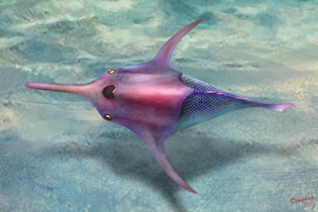 武定華南魚 武定華南魚