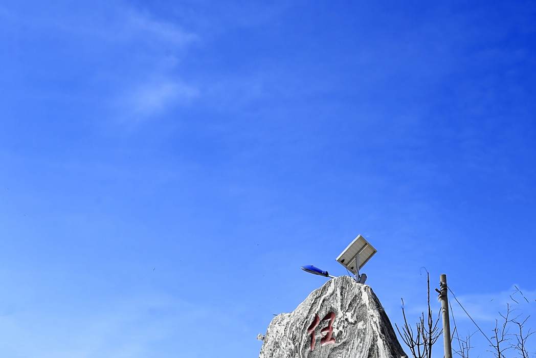任家洞村 任家洞村