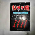 替天行道(可爭著網路小說) 替天行道(可爭著網路小說)