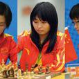 中國象棋隊 中國象棋隊
