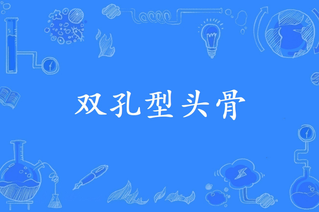 雙孔型頭骨 雙孔型頭骨