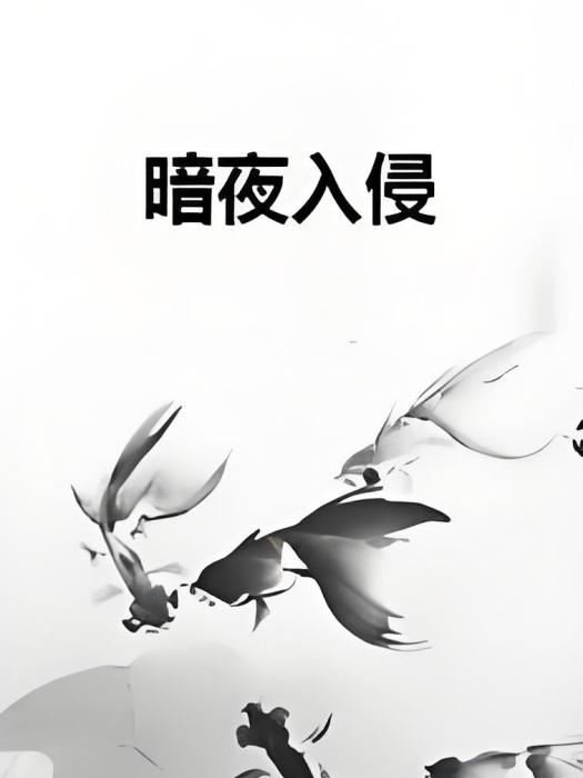 暗夜入侵 暗夜入侵