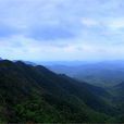 南山(常州溧陽南山) 南山(常州溧陽南山)
