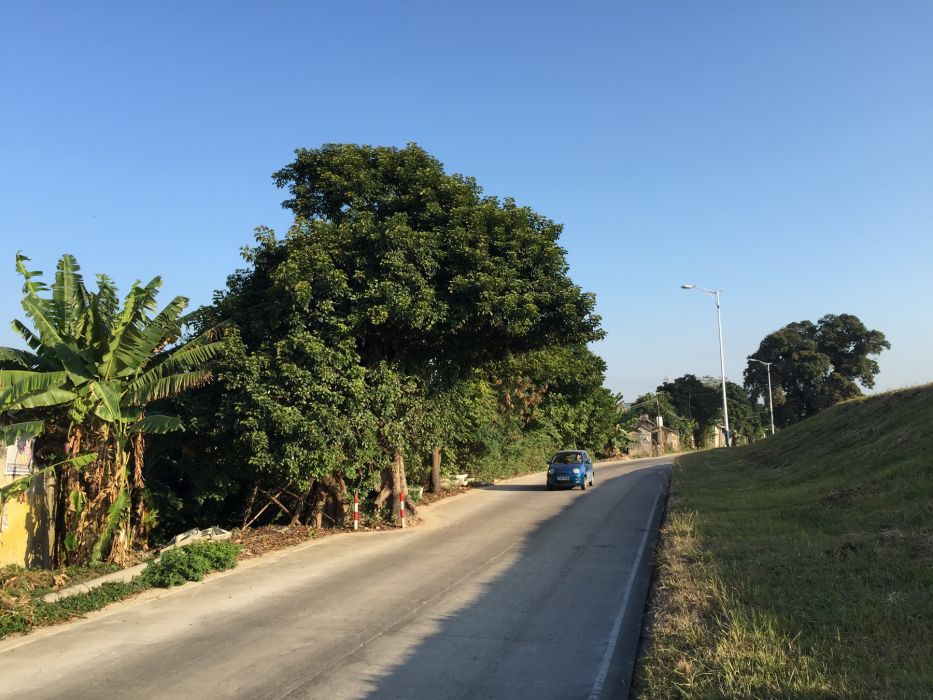 護堤路 護堤路
