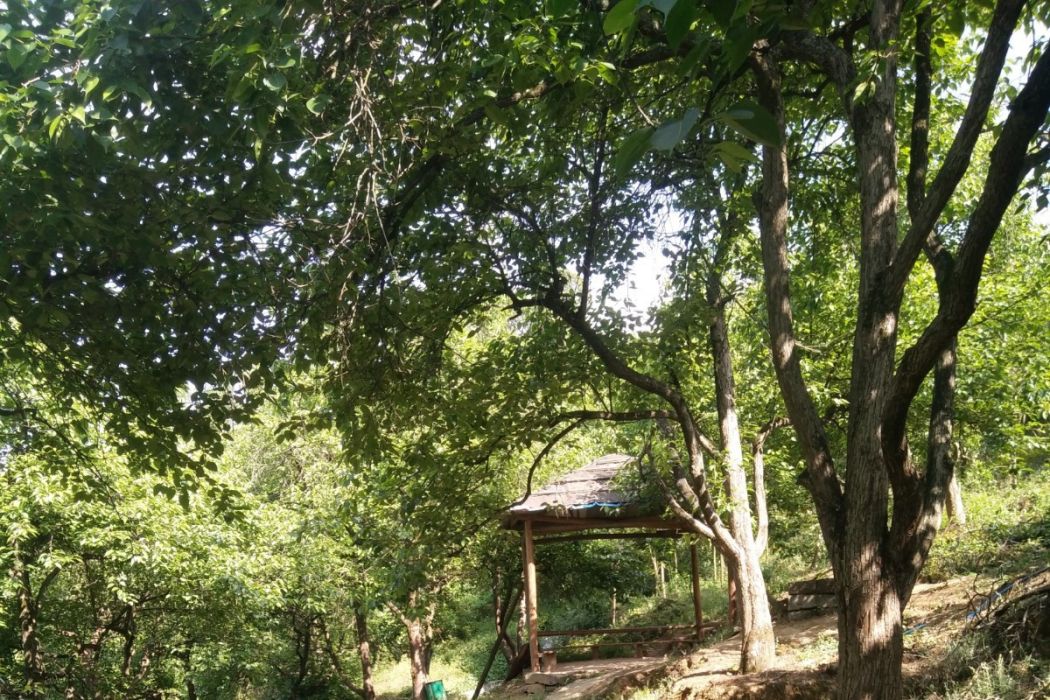 三台梨園 三台梨園