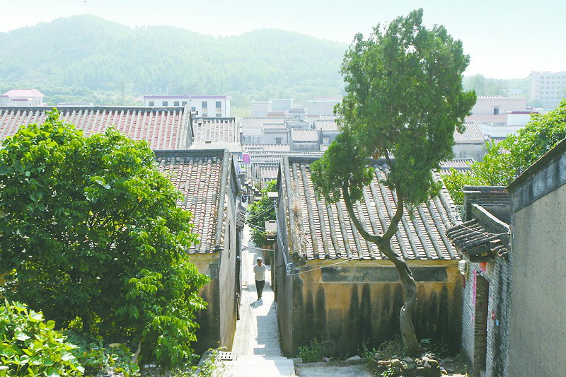 網山村(廣東省珠海市斗門區乾務鎮下轄的村) 網山村(廣東省珠海市斗門區乾務鎮下轄的村)