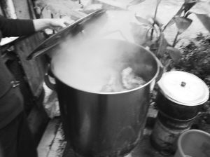 罌粟殼火鍋
