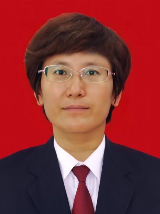 陳曉霞(河北省秦皇島市青龍滿族自治縣人民政府黨組成員、副縣長) 陳曉霞(河北省秦皇島市青龍滿族自治縣人民政府黨組成員、副縣長)