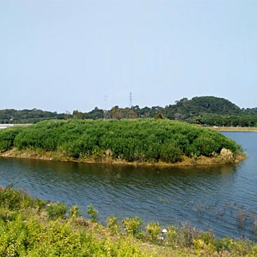 沙溪水庫 沙溪水庫