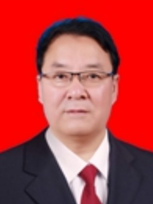 王新民(甘谷縣人大常委會副主任) 王新民(甘谷縣人大常委會副主任)