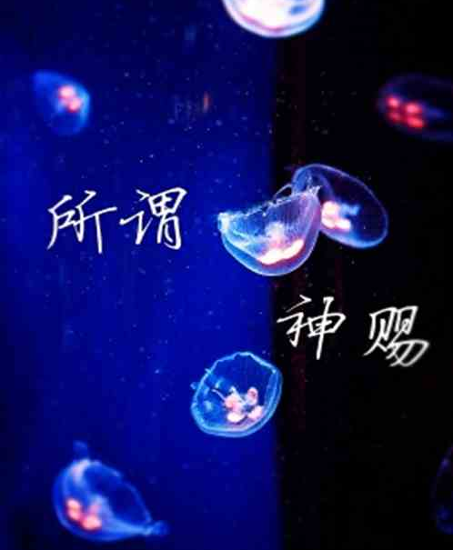 所謂神賜