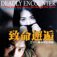 致命邂逅(2000年丁黑、張曉光執導電視劇)