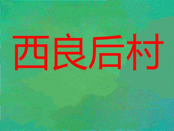 西良後村 西良後村