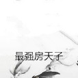最強房天子 最強房天子