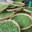 靈岩茶 靈岩茶