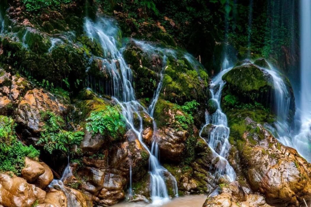 箐河風景區 箐河風景區