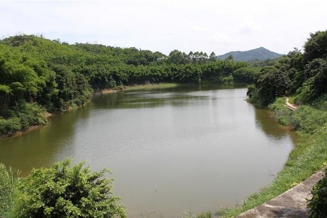 坋頭水庫 坋頭水庫