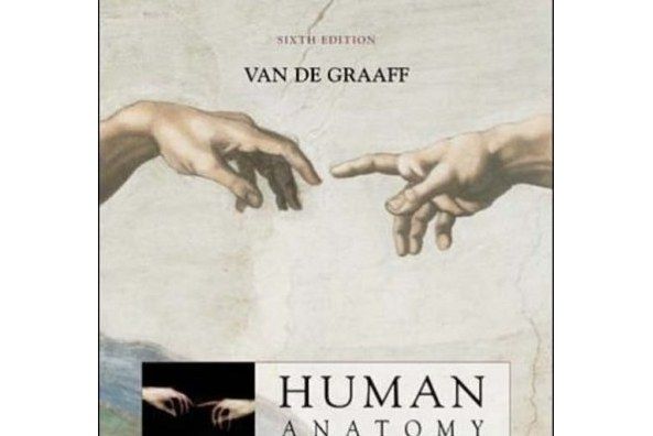 Van De Graaff Human Anatomy Van De Graaff Human Anatomy