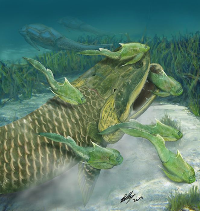 周氏鴻魚 周氏鴻魚