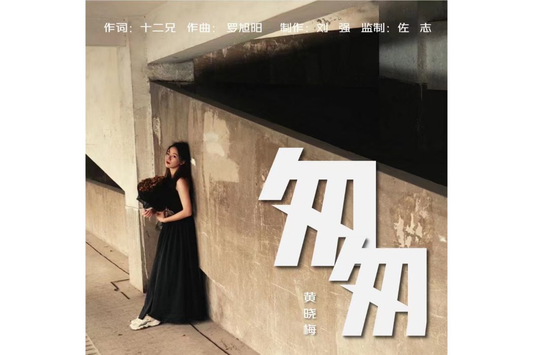 匆匆(黃曉梅演唱歌曲) 匆匆(黃曉梅演唱歌曲)