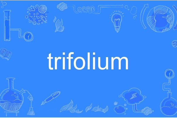 trifolium trifolium