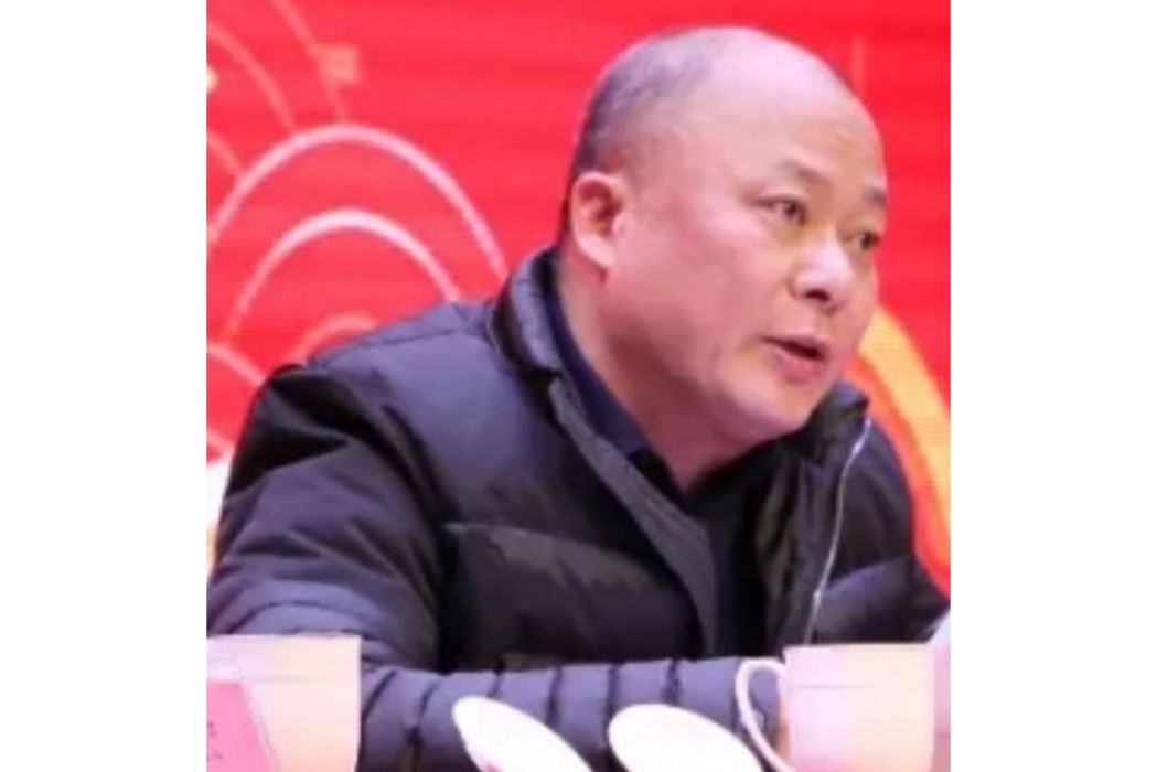 張紅(銀河電子董事長,董事) 張紅(銀河電子董事長,董事)
