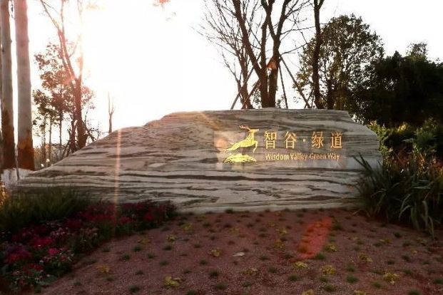 智谷綠道 智谷綠道