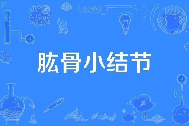 肱骨小結節 肱骨小結節