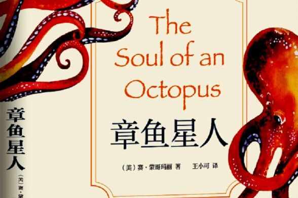 章魚星人