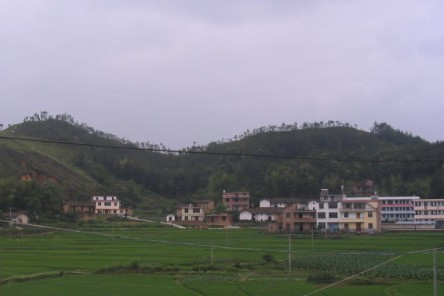 鼎龍村 鼎龍村